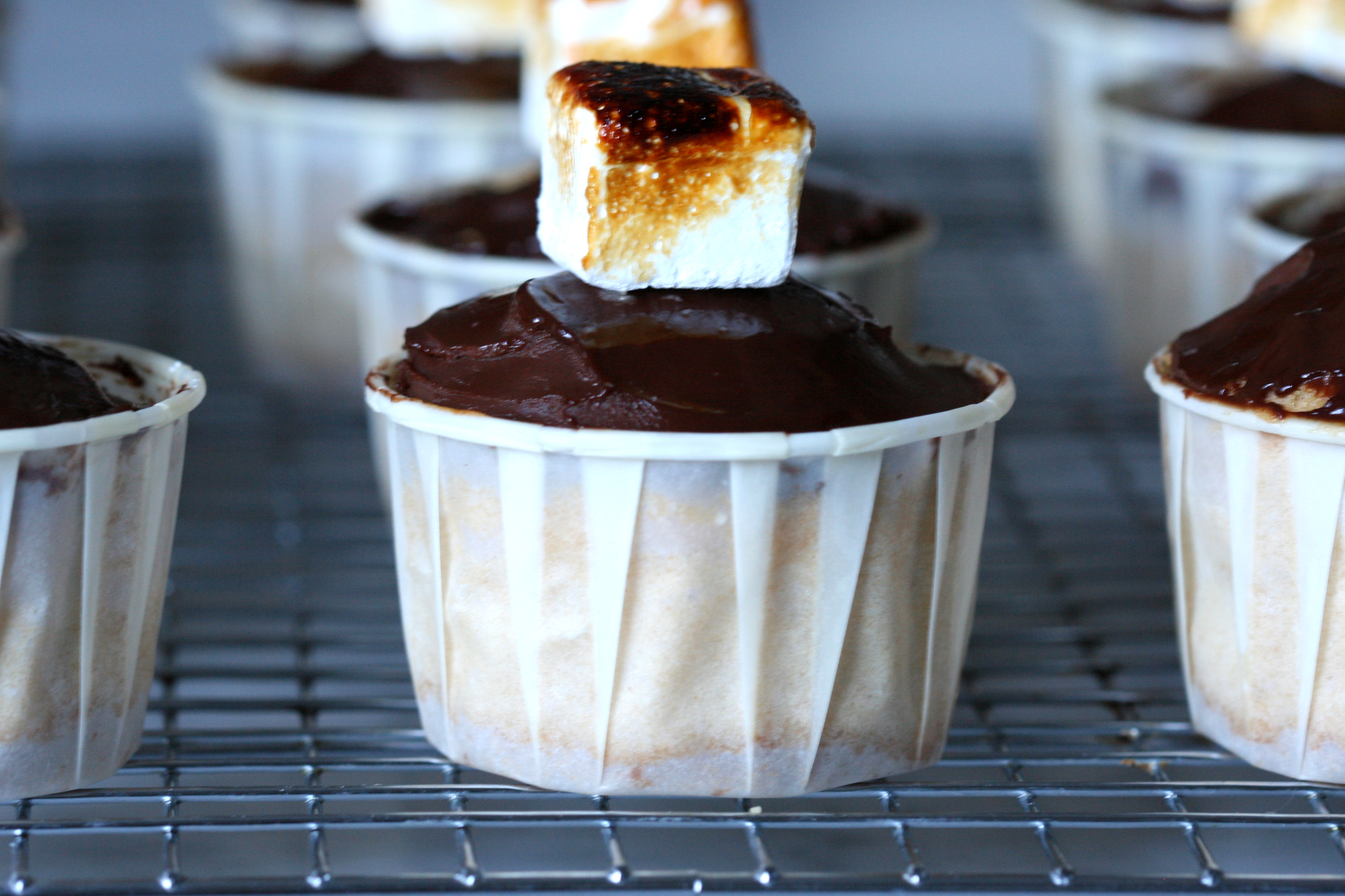 S’mores Cupcakes